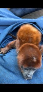 WhatsApp Image 2025-07-12 at 19.07.09_3bd609d2